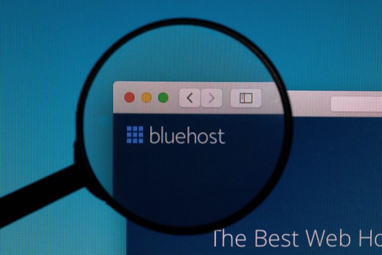 Magnifying glass on the bluehost logo